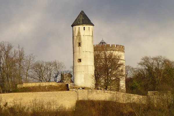 Burg Plesse